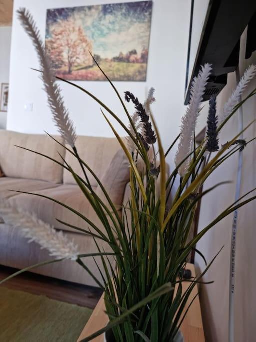 Gs Home Gythio Luaran gambar